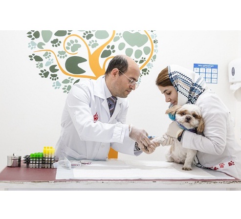 آزمایشگاه تخصصی حیوانات خانگی تهران