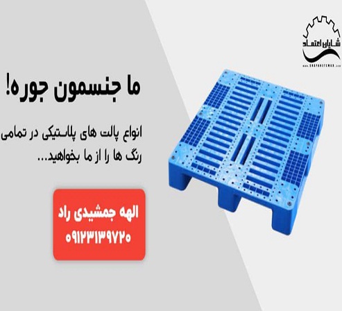 تولید سبد و پالت پلاستیکی میوه مرغ ماهی