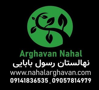 تولید و عرضه نهال